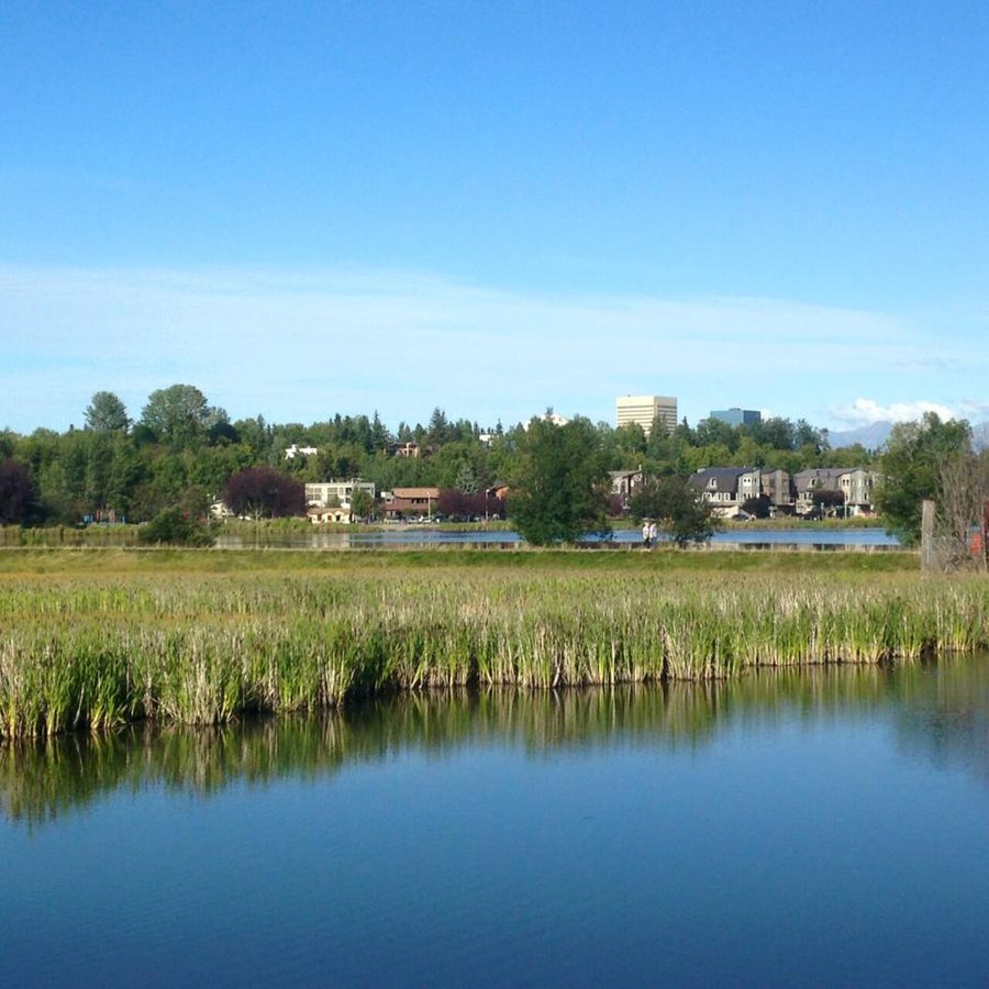 Anchorage city view in daylight