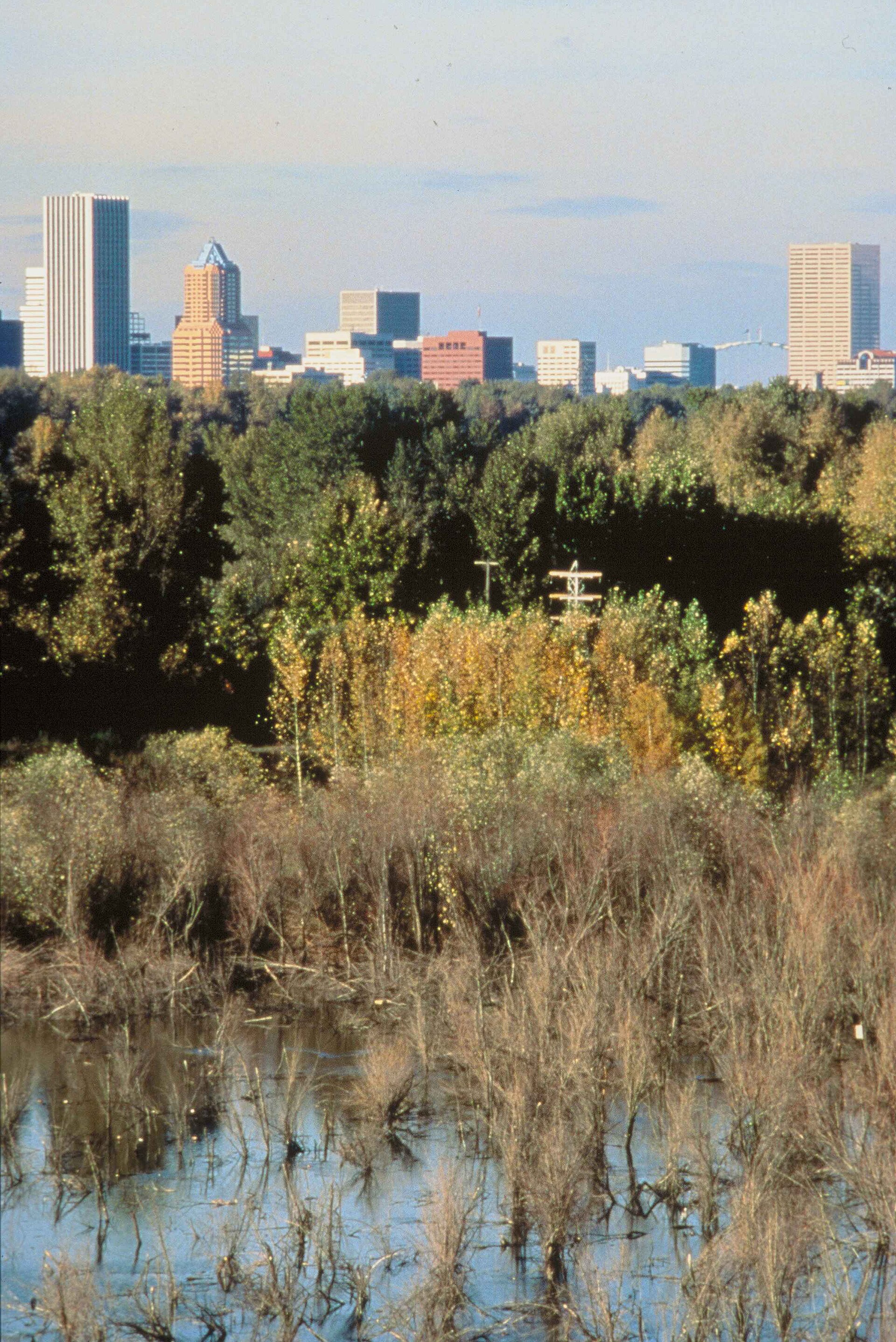 Portland skyline and surrounding landscape